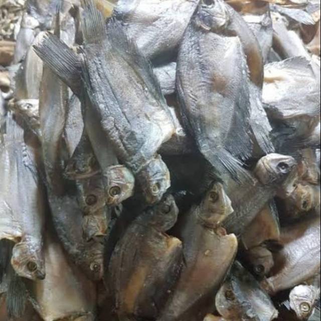 

Ikan Sepat Kecil 100 gr