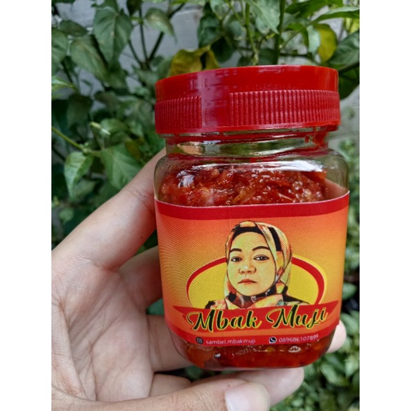 

Sambal Balado Teri Medan Pedas Nikmat Murah Mbak Muji