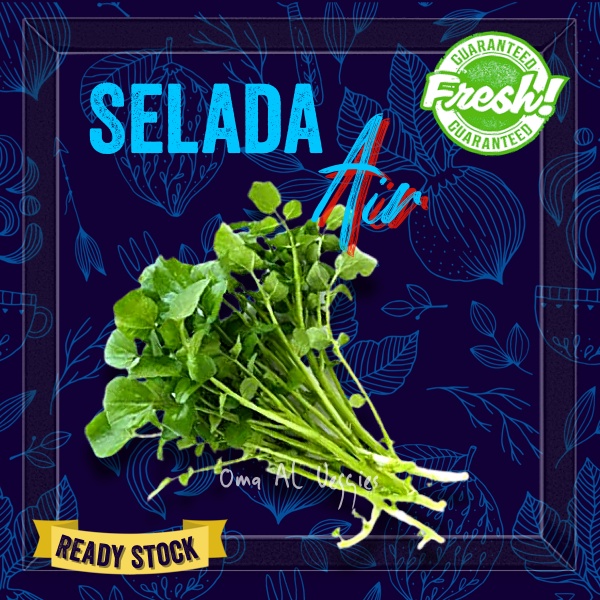 SELADA AIR SEGAR PER IKAT ± 250 Gr / FRESH WATERCRESS