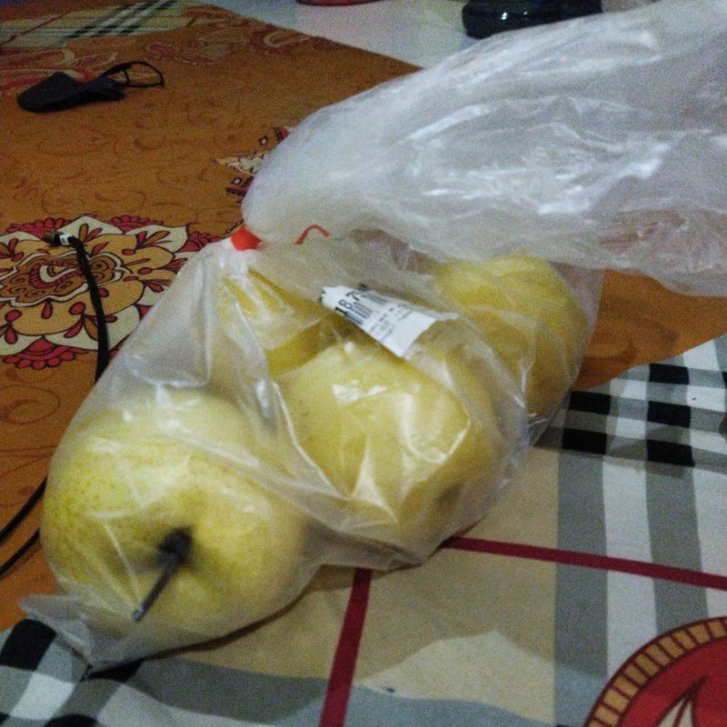 

pear ajaib