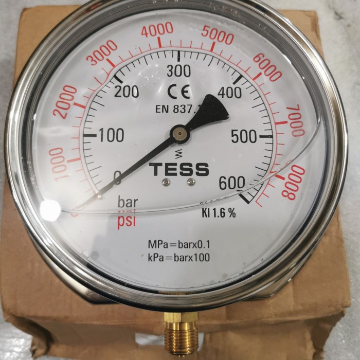 Pressure Gauge 6" 600Bar/8000PSI TESS 150D 3/8" BSPP With Flange