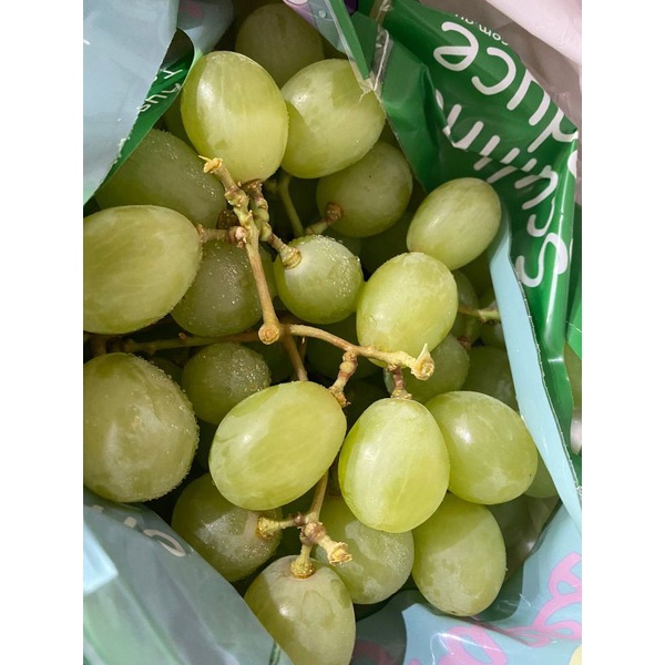 

buah anggur hijau 500gram|buah anggur|nuri fruits|buah segar|buah segar bandung|anggur