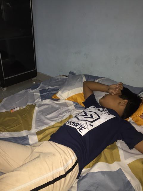 Sprei Motif Soft Dino