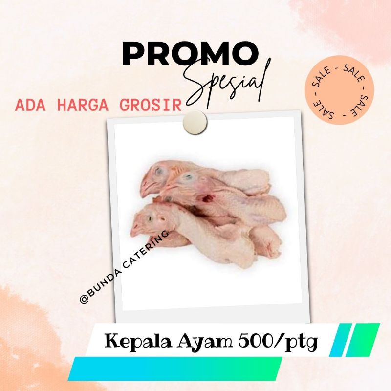 

Kepala Ayam Fresh / Frozen Murah