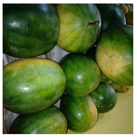 

Semangka