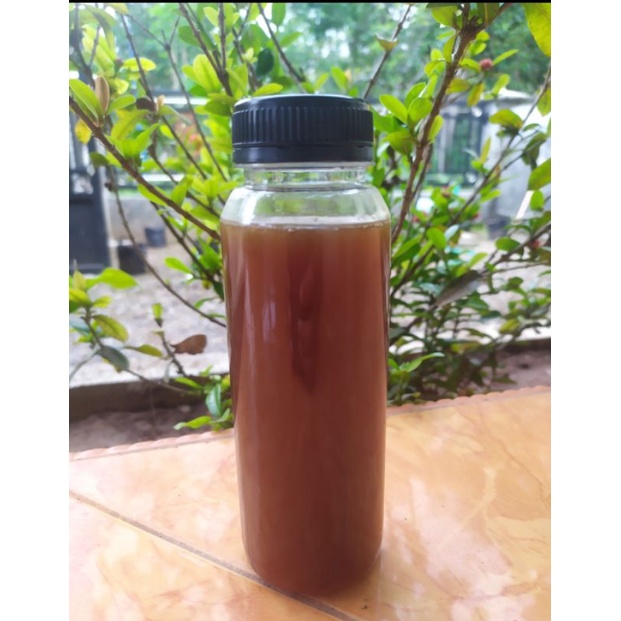 

Madu Klanceng Hutan Trigona Murni Lebah Trigona