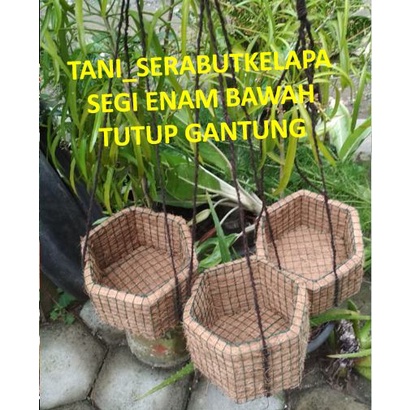 POT KELAPA / POT KELAPA / ANGGREK / POT KELAPA GANTUNG