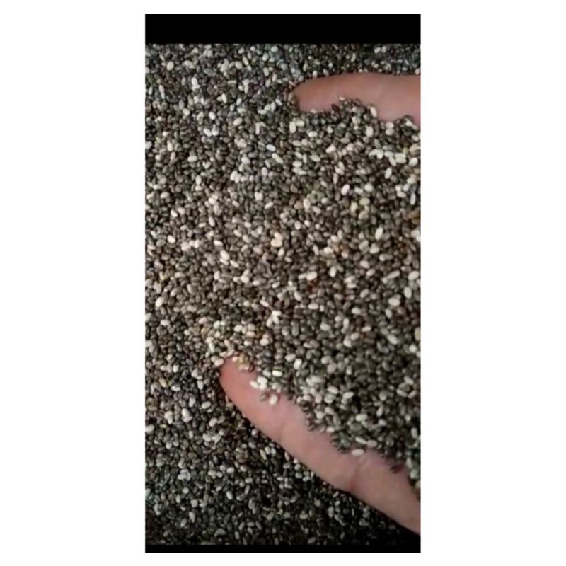 

organic chiaseed 100 gr, 250 gr, 500 gr, 1000gr