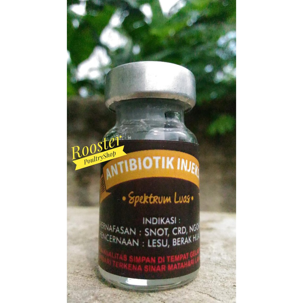 NEW Obat Snot Lovebird Antibiotik injeksi by Ridwan EP BARANG BERKUALITAS