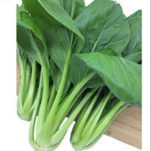 Benih Sawi Hijau Cai Sim 500 biji | Shopee Indonesia