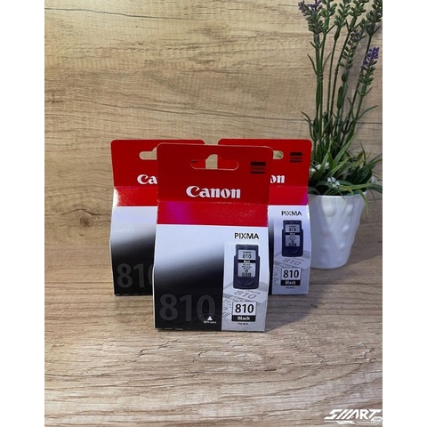 Catridge Canon 810