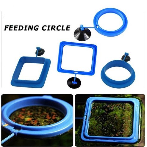 Feeding Ring Kotak Bulat Floating Tempat Pakan Akuarium Ikan