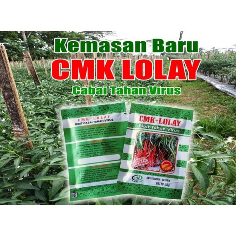 Benih Bibit Cabai CMK LOLAY kemasan 10gr