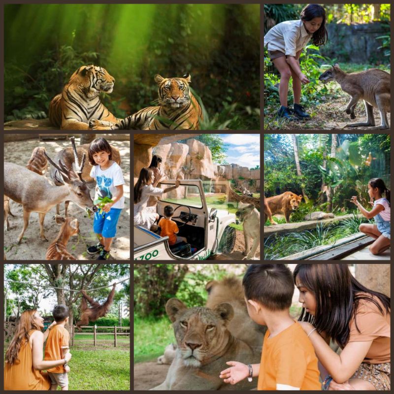 Tiket Family Bali Zoo Park KTP Bali