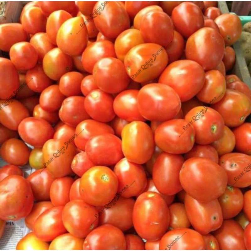 

Sayur Segar Tomat 250 Gram