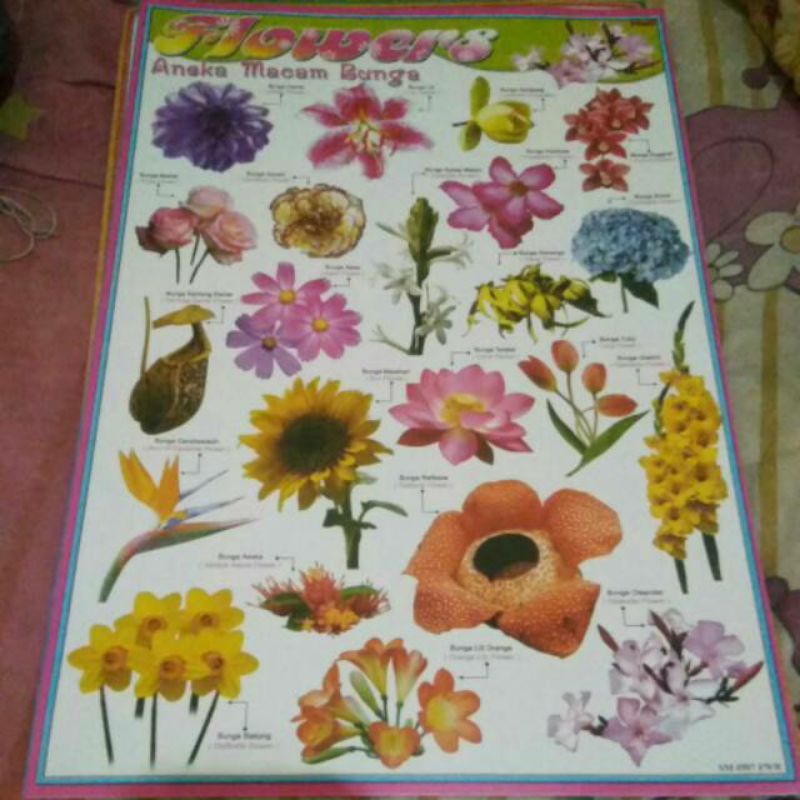 

Poster Anak Edukasi Aneka Bunga Indah