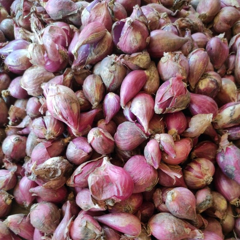 

Bawang merah