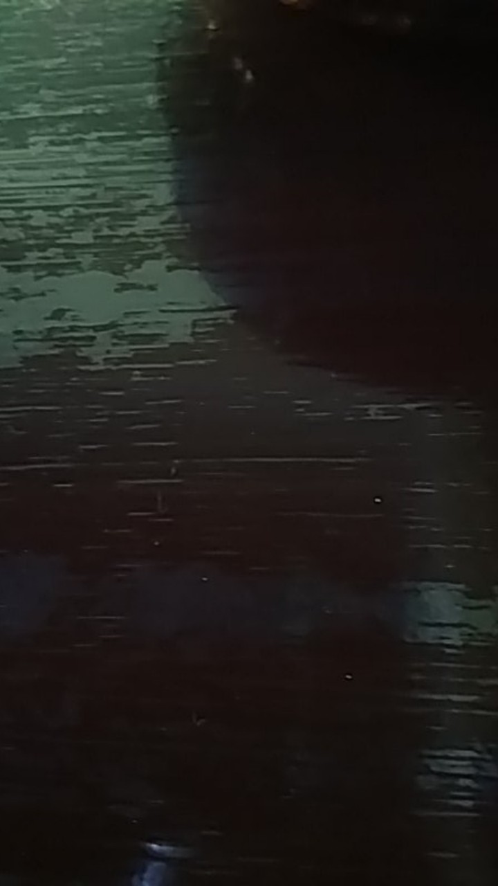 Blus Batik Prempuan Size M L Xl | Batik Pekalongan | Trend Remaja