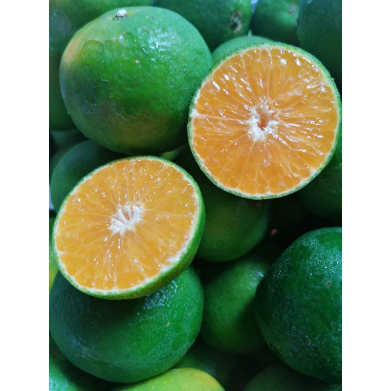 

Jeruk Shantang Madu Fresh Jamin Manis