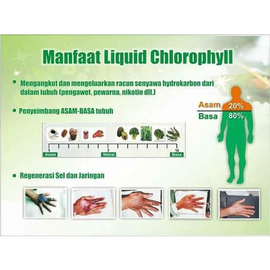 TUBUH-KEKEBALAN-SISTEM- PAKET HERBAL OBATI BATU EMPEDU PLUS MEMPERBAIKI SUASANA HATI -SISTEM-