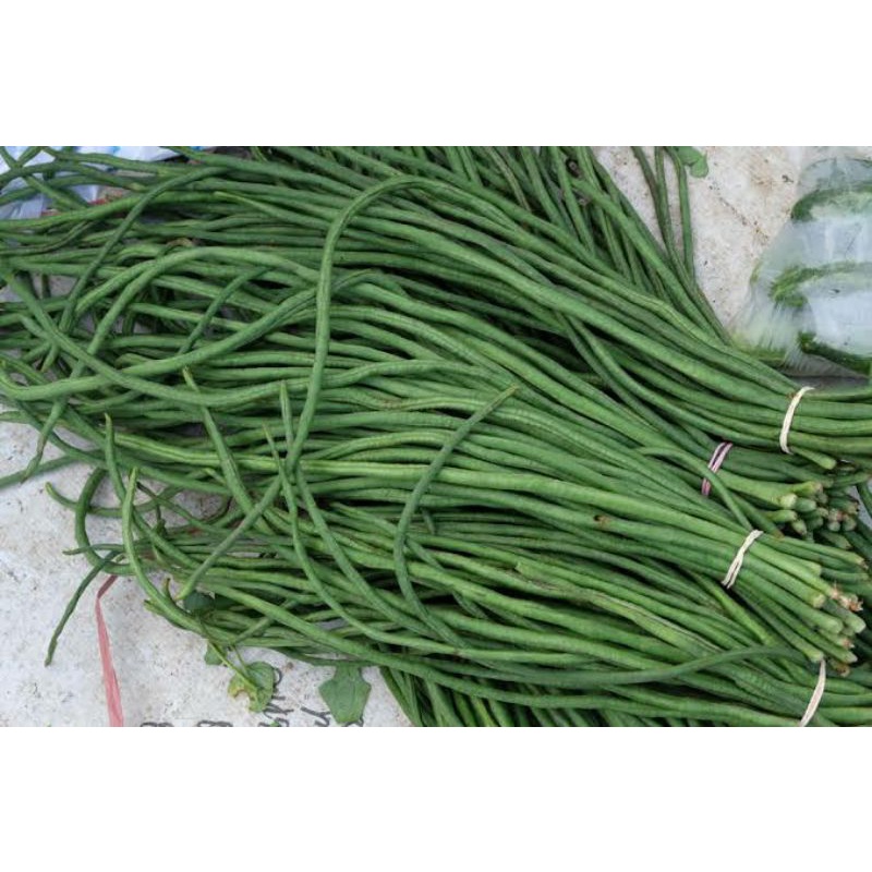 

Kacang Panjang Segar 250 gr