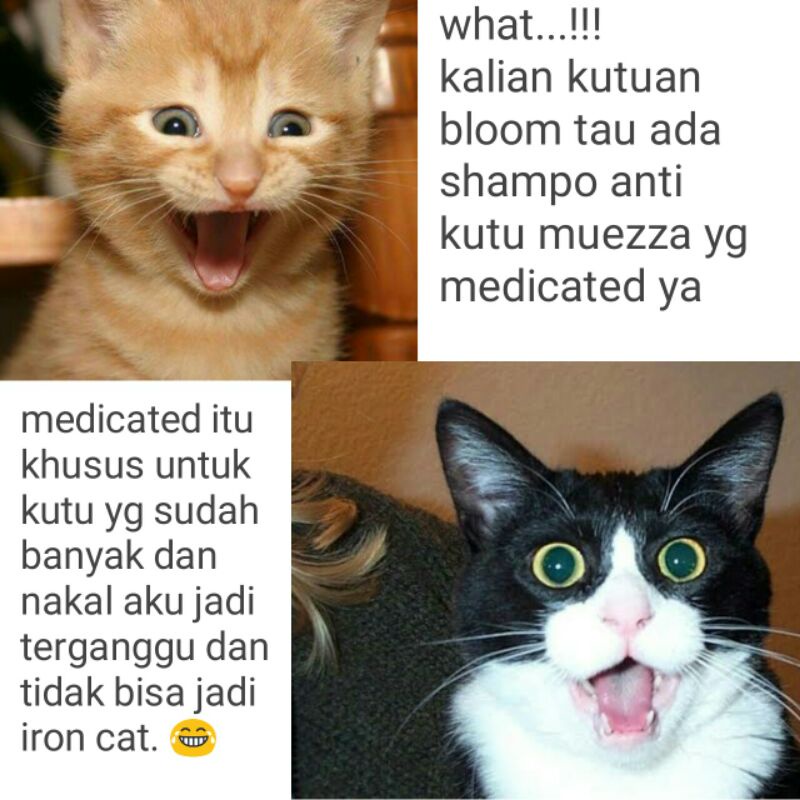 muezza medicated shampo pengobatan sampo obat anti kutu jamur tick Flea untuk kucing anjing musang murah manjur promo diskon terlaris