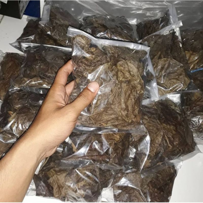 KETAPANG - Makanan Ikan Cupang, dapat Menurunkan PH air, Mempercepat Mutasi Ikan