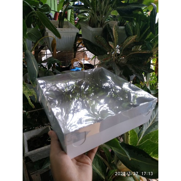 

box kue 22*22*7 tutup mika transparan/kotak kue putih/kotak puding/kotak bolu