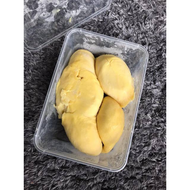 

DURIAN MONTHONG SULAWESI