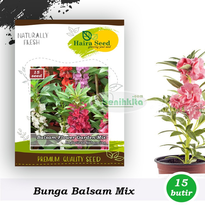 Benih-Bibit Bunga Pacar Air/Balsam Mix (Haira Seed)