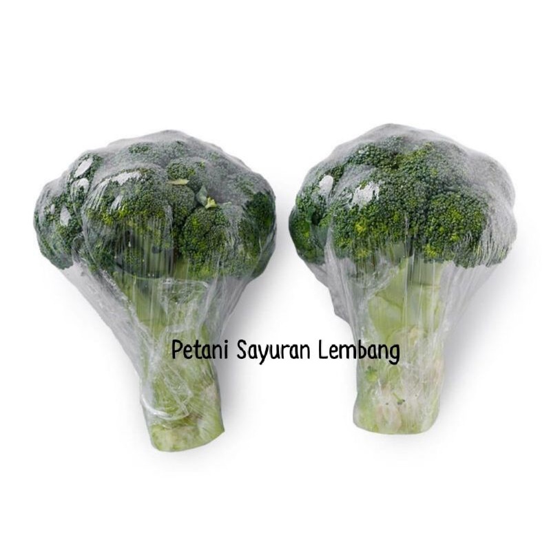 

Brokoli Hijau Fresh
