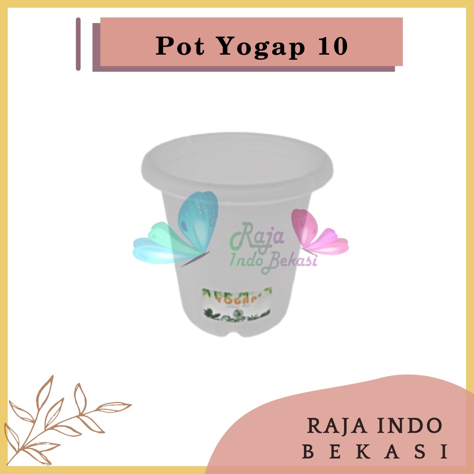 Pot Yogap 10 Transparan Bening Clear Tinggi Tebal Berkualitas Grosir Pot Yogap 10 13 15 17 18 Murah