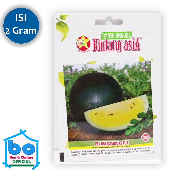 Benih Semangka BUMANING F1 Bintang Asia