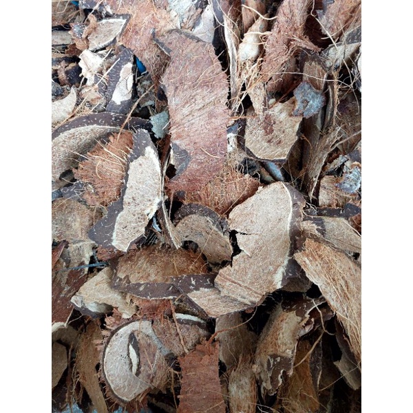 Batok Kelapa Cacah / Curah / Pecah / Tempurung  Kelapa Kering 1 kg
