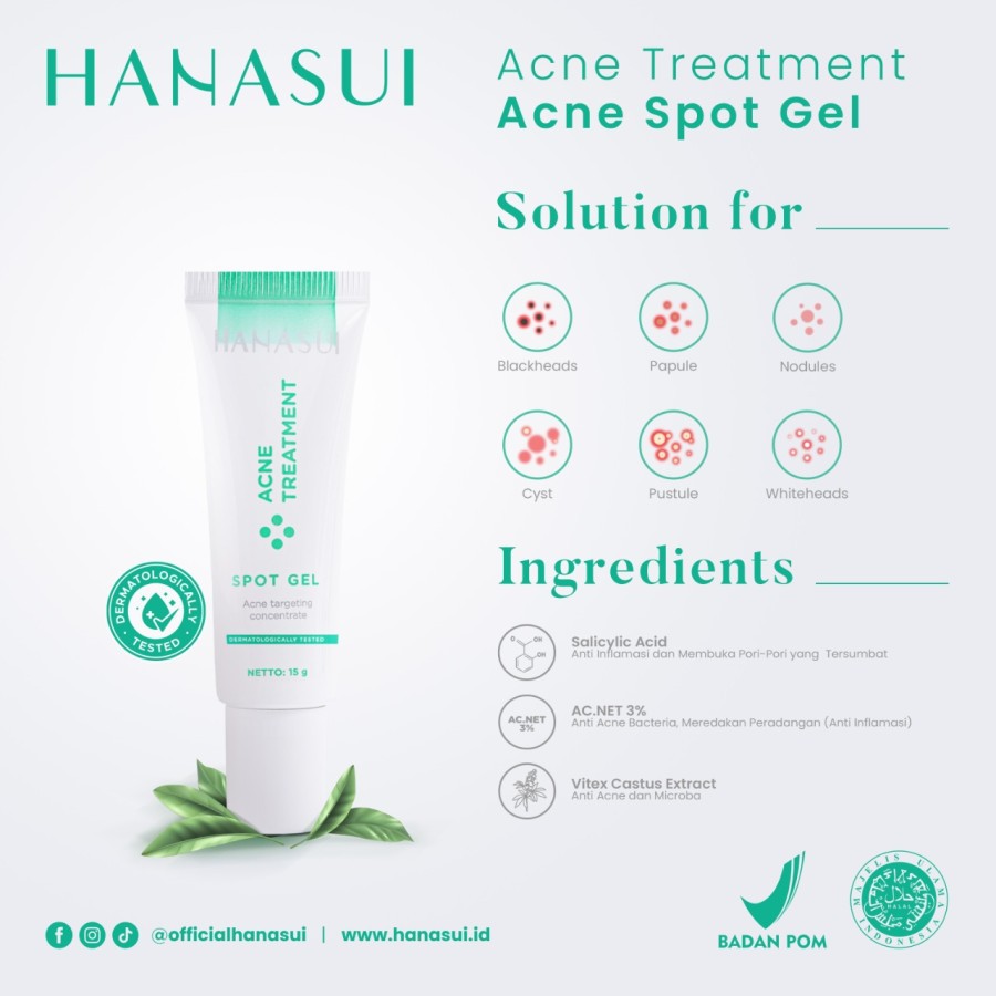 HANASUI ACNE TREATMENT SERIES