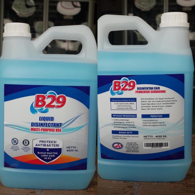 Disinfectant B29 4 liter