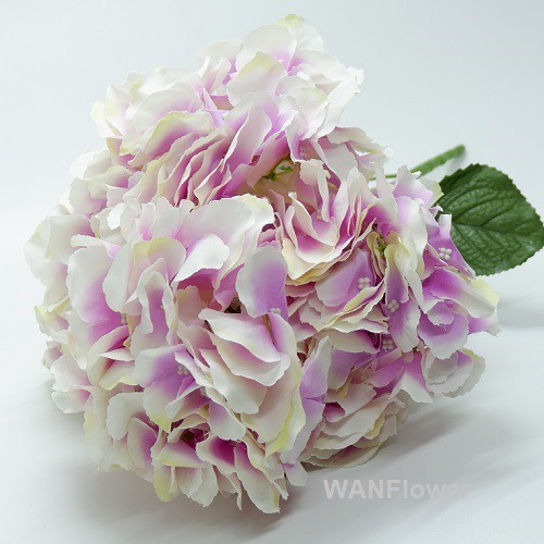 WANFlower Bunga Hydrangea X5 * UNGU+PUTIH