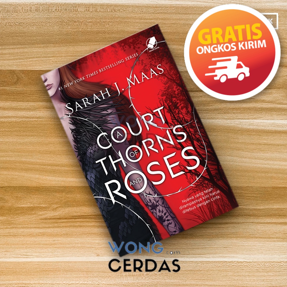 [New]  A Court of Thorns and Roses
