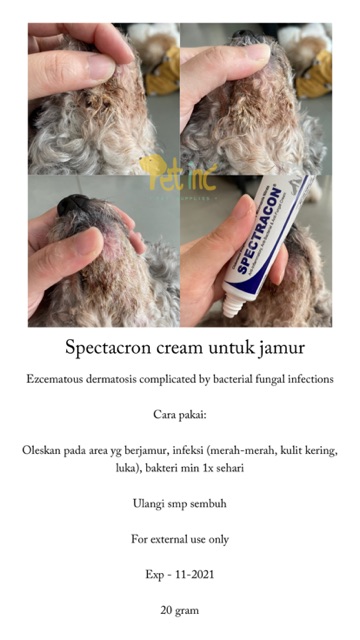 Spectracon cream (jamur, bakteri dan infeksi)