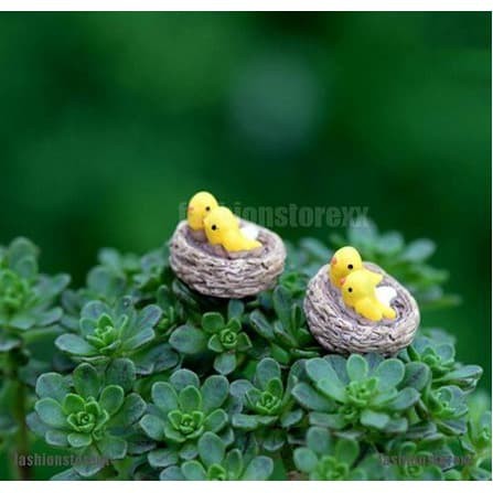 Miniatures - Terrariums - Fairy Garden - Animal_Birds (1pc)