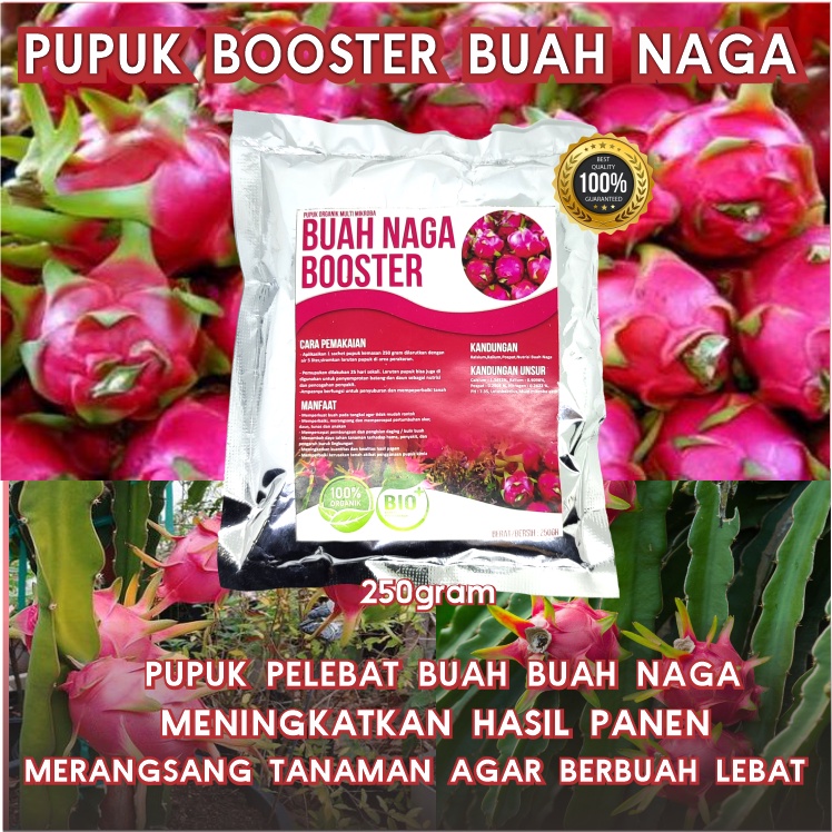 Pupuk Buah Naga Organik Pelebat Naga dan Perangsang Buah Naga agar cepat berbuah lebat Pupuk Booster