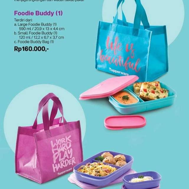 Tupperware foodie buddy (1)