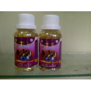 Kapsul Garlic oil Plus Propolis Trigona 100kps