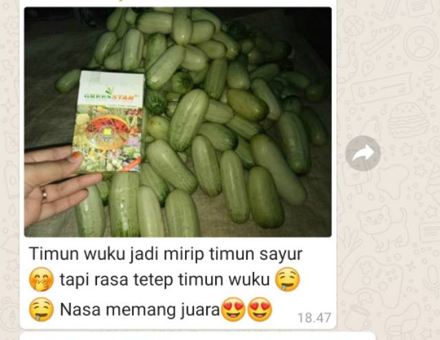 Pupuk Organik Padat Tepung/Serbuk Green Star Greenstar ecer 20g