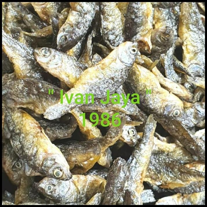 

Ikan Danau Singkarak/Bilih/Tawar Padang500 Gram