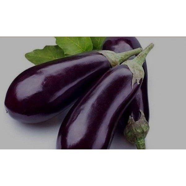 

TERONG UNGU 500 GRAM