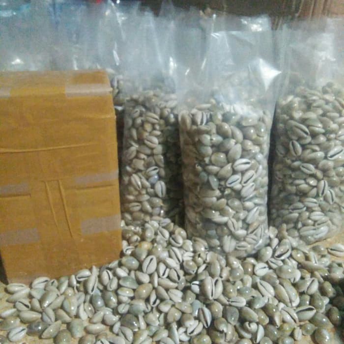 

Biji Congklak atau Kuwuk 1 kg