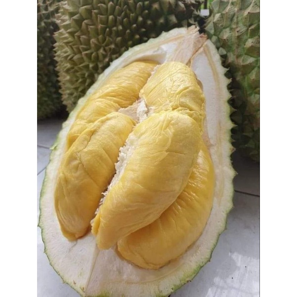 

duren campah hambar sudah beku