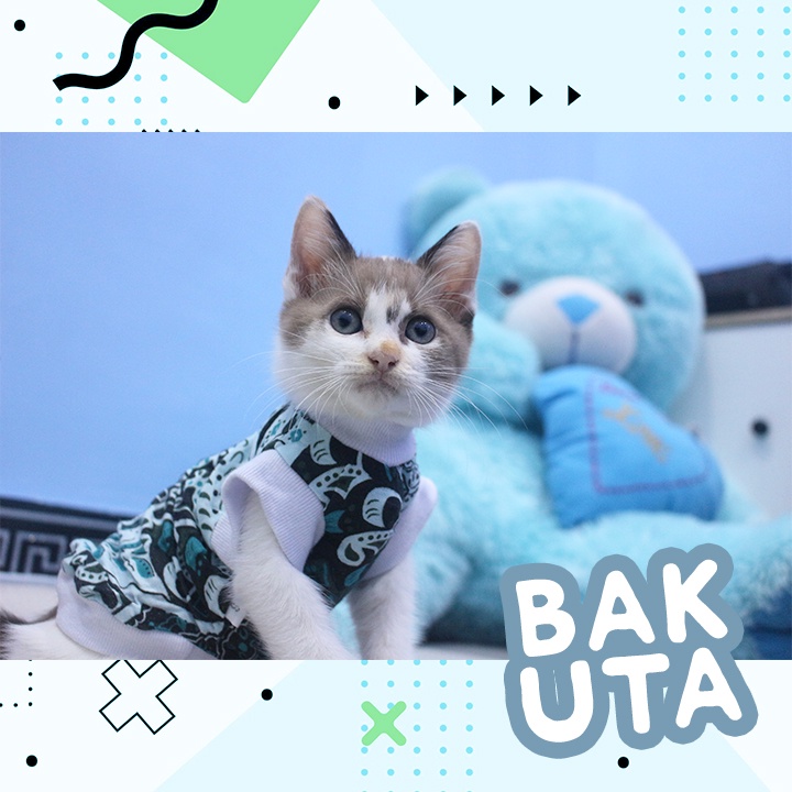 Kaos Lengan pendek No Motif #3403 / Baju Kucing tangerang murah / baju kucing lucu size S-XL