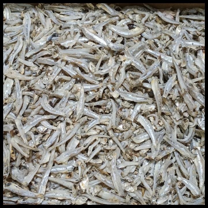 

Ikan Asin Teri Jengki Bulat 1 Kg Fresh